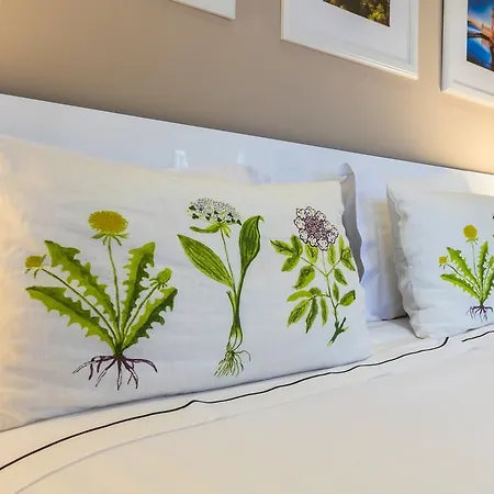 Guest house Nova 3*